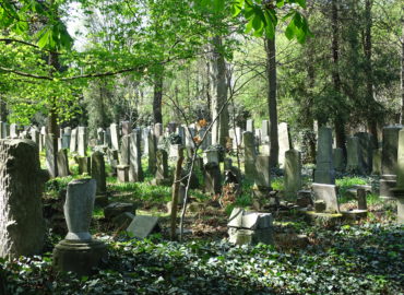 Zwiedzanie cmentarza żydowskiego